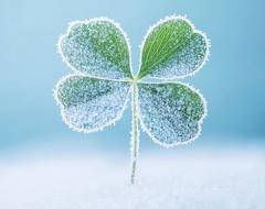 ゲリラ出勤🤗💛