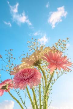 シングルママ 都城市デリヘル めい☆清楚綺麗妻 写メ日記「*??????????」