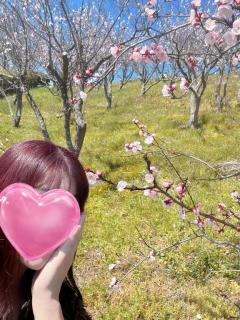 人妻ステーションポータブル鹿児島(鹿児島市) みき
