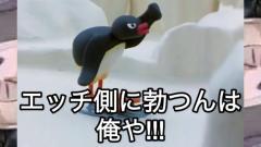 明日、ちゃんと来てくれる…？?