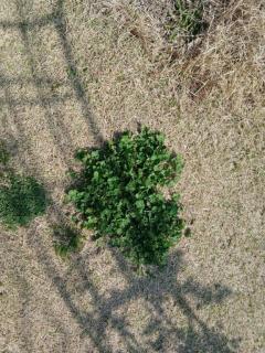 ぷにっ娘　ゆかいな電話番たち