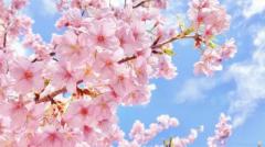 ?新生活スタート?