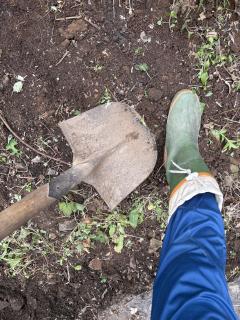 ダニに噛まれてかゆい