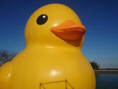 暖かくなってきて。。。