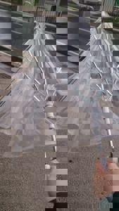 出勤しました♪