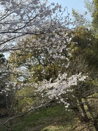 おはようございます