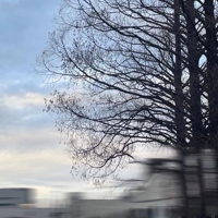 宮崎ちゃんこ都城店　うみ