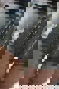 空きましたッ！(●´▽｀)