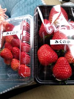 新港常連お客様からの