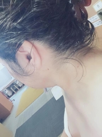 鹿児島ちゃんこ 霧島店(霧島市) しずか