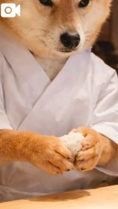 お礼日記書いていくね