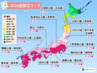 宮崎ちゃんこ都城店　こはる