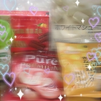 宮崎ちゃんこ都城店　うみ