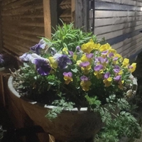 宮崎ちゃんこ都城店　うみ