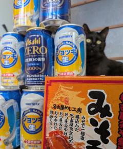 JaPON(デリヘル) 新人！美鈴ﾐｽｽﾞ