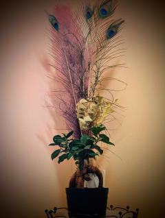 アルファ　♡くみ〜※特割コースの新エース♡