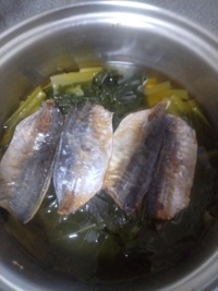 今日からプロ野球開幕