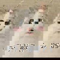 4月出勤のお知らせ