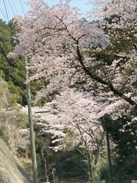 ありがとうございました