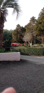 逆夜這いのあなた～