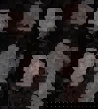 土曜日出勤です