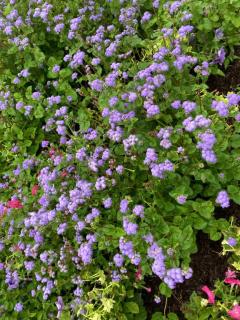 今日は10時から