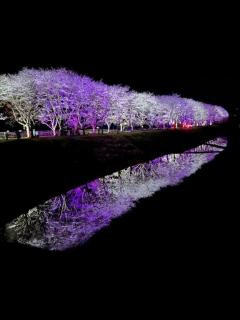 ☆出勤します☆