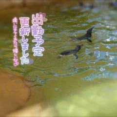  りょうエッチで綺麗なお姉さん♡