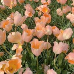 忘れられなくて