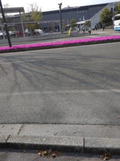 こんばんは(?????▽?????)