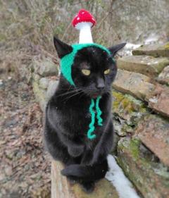 こんばんは?????????