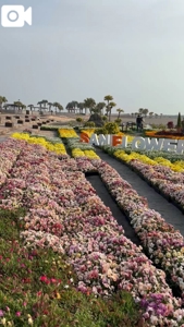 マドンナSANSAIN 宮崎市デリヘル しょう 写メ日記「今年もやって参りました」