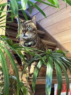 月曜日一枠のみ🈳🈳です