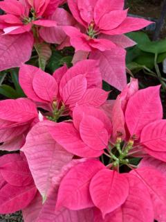 おはようございます