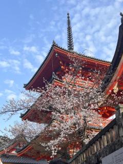 ☆出勤しました☆