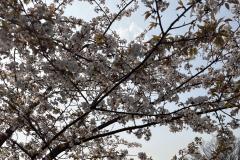 おはようございます〜🌄