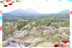 こんにちは?火曜日??出勤??