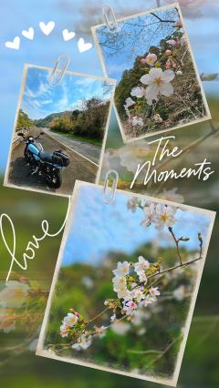 ベビードール　さとみ