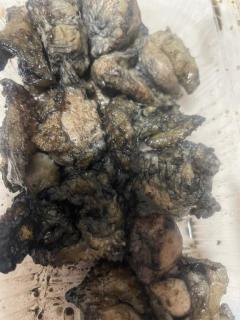 Spica(すぴか)(延岡市) ★さくらこ★WHITEコース