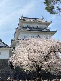 おはようございます