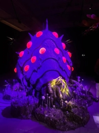 先週に続き今週も出勤