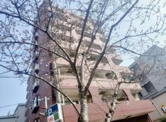  あずき☆愛嬌◎ぽちゃグラマー嬢☆