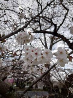 [お題]from:心が留守の留守番さん