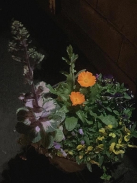 今日もありがとうございました！