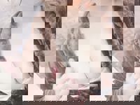 Relaxation spa Clover リラクゼーションスパ クローバー　体験入店⭐リリ