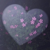 今日もありがとうございました