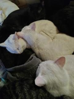 おはようございます‼️