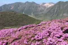 おはようございます〜🌅