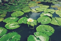 本日お休みのお知らせ