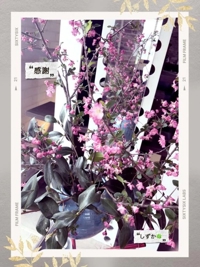 鹿児島ちゃんこ 霧島店　しずか